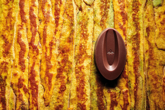 feve de chocolat au lait Valrhona sur fond coloré