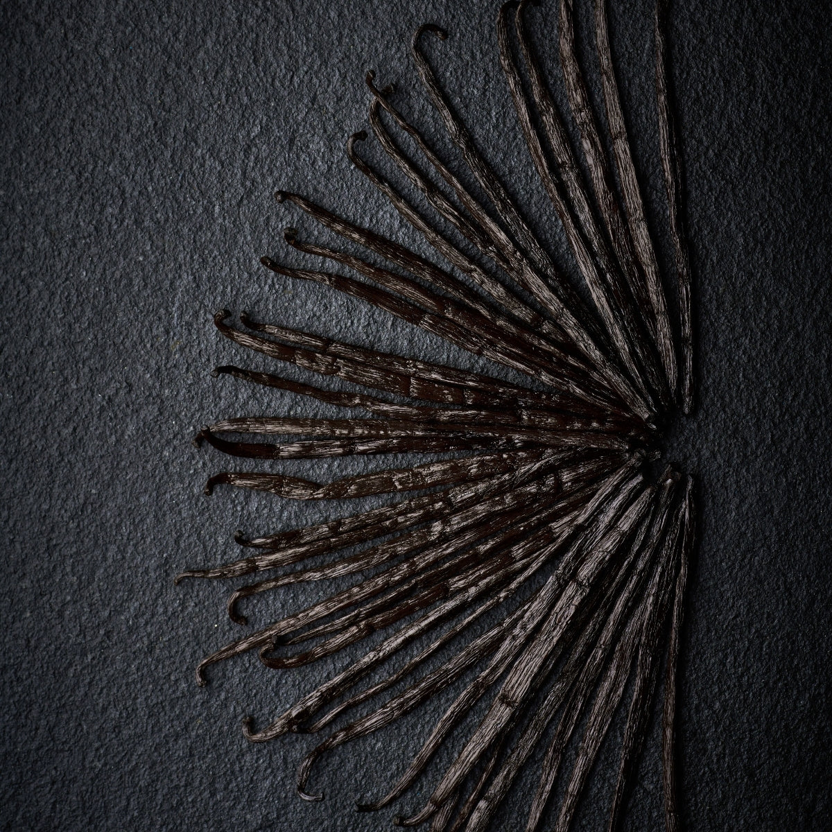 Gousses de vanille en éventail