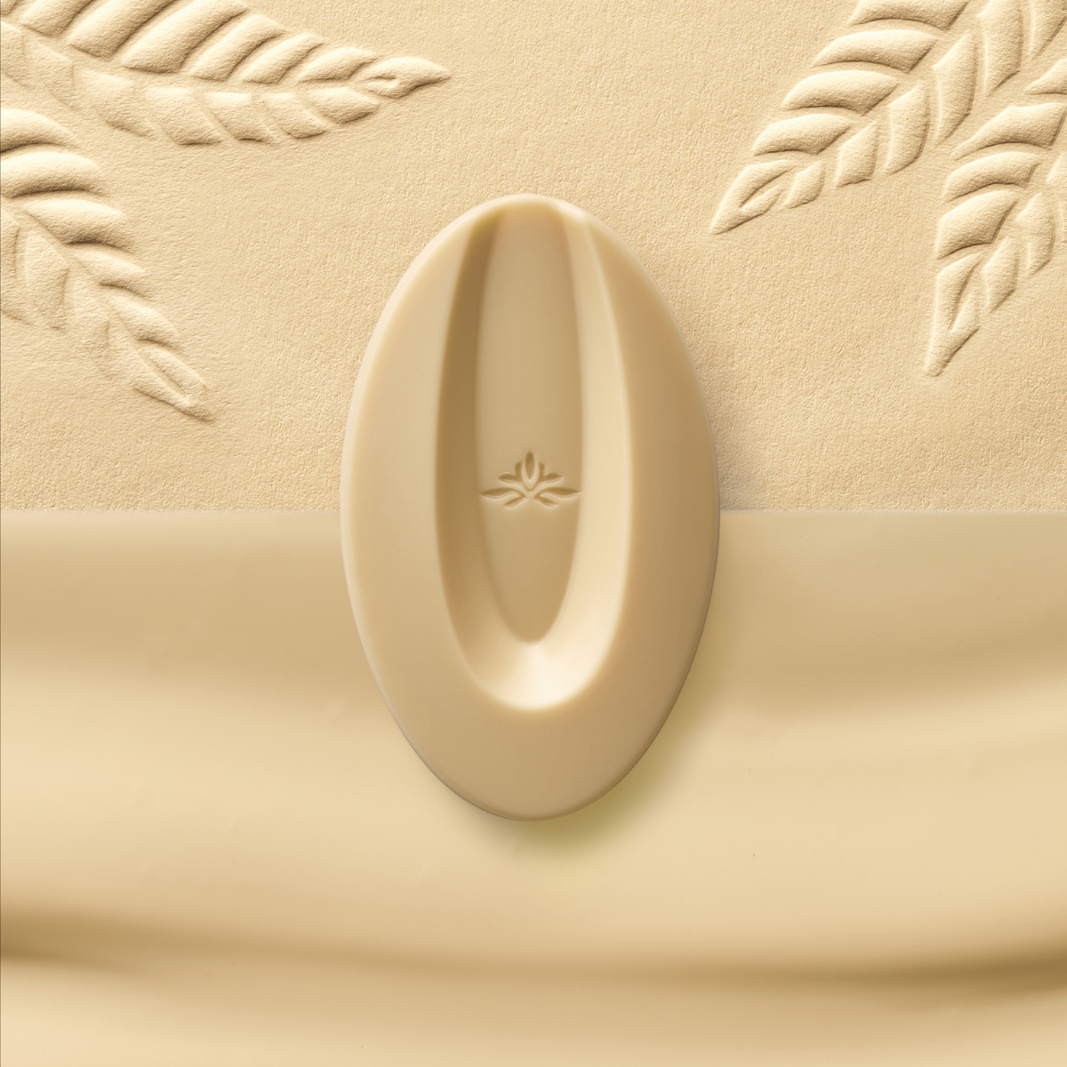 fève blanche amatika végétal