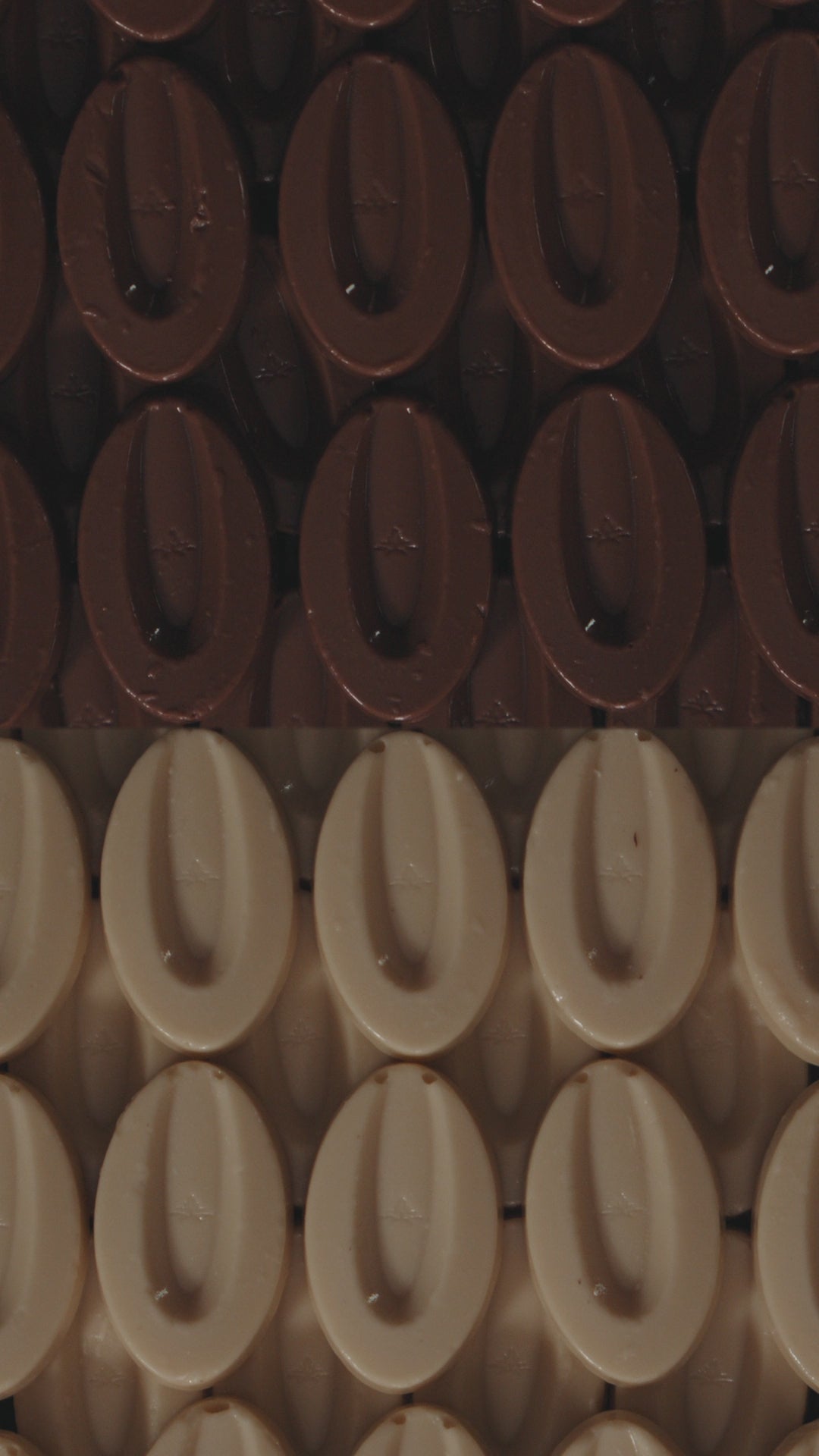 video amatika végétal