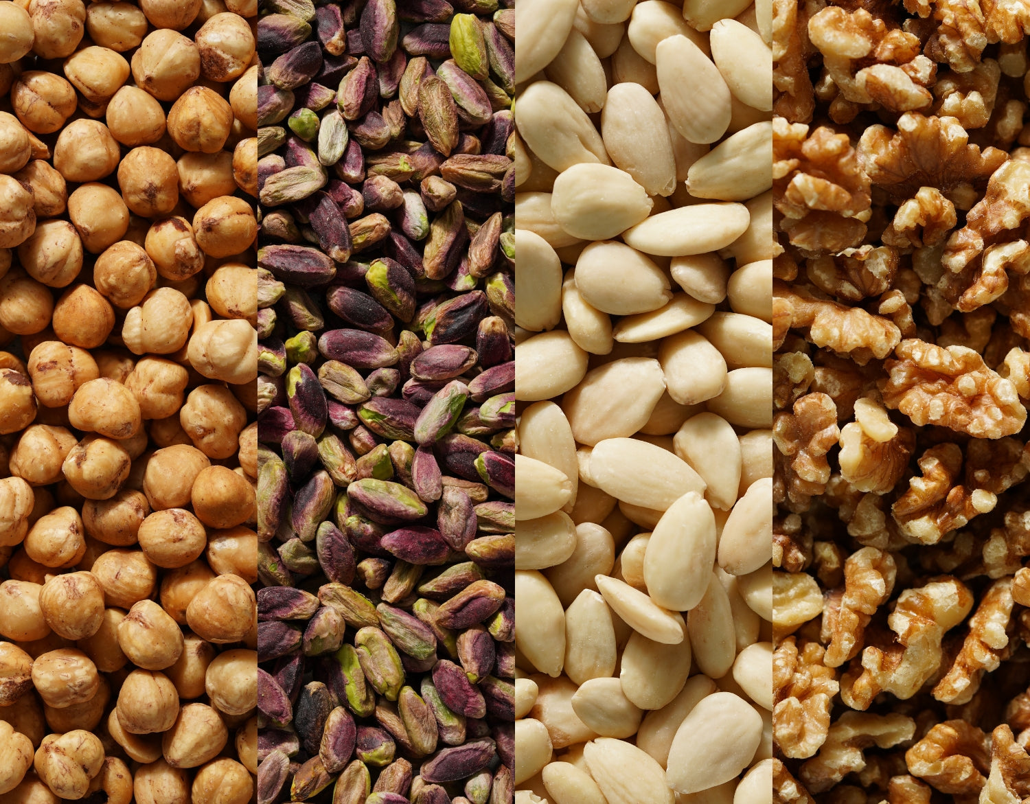 noix, noisettes, pistaches et amandes