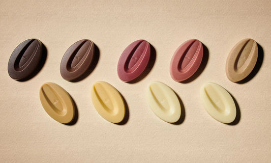 Quel chocolat Valrhona choisir pour pâtisser ?