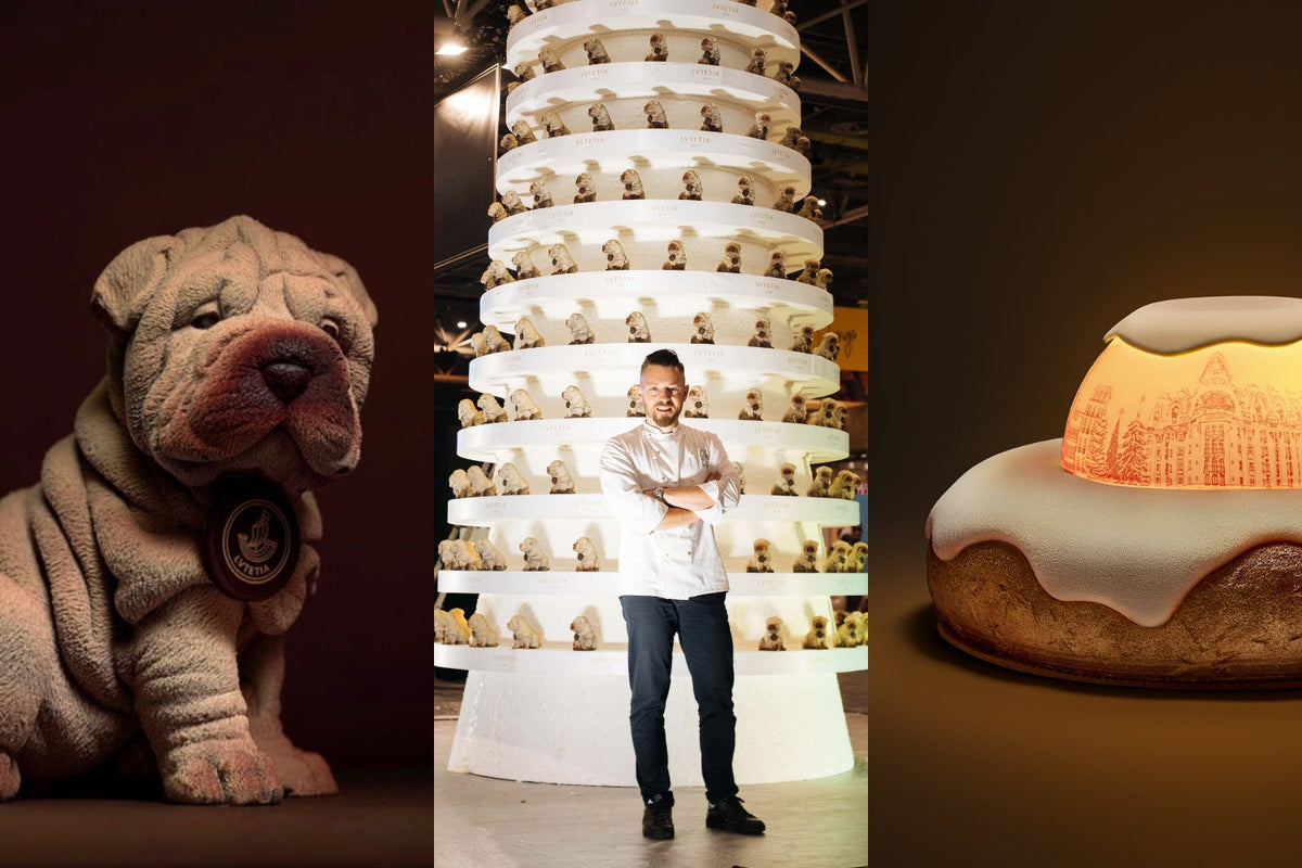 Portrait du chef Nicolas Guercio