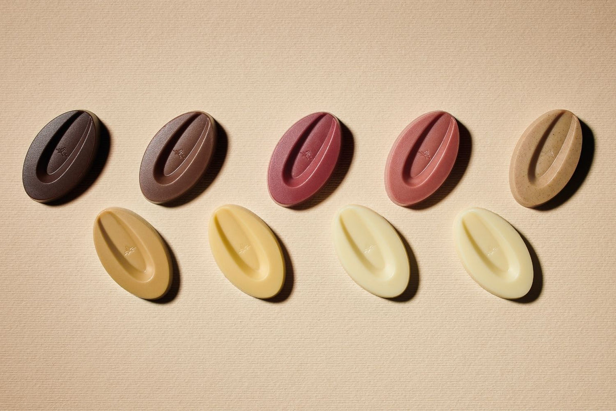Quel chocolat Valrhona choisir pour pâtisser ?