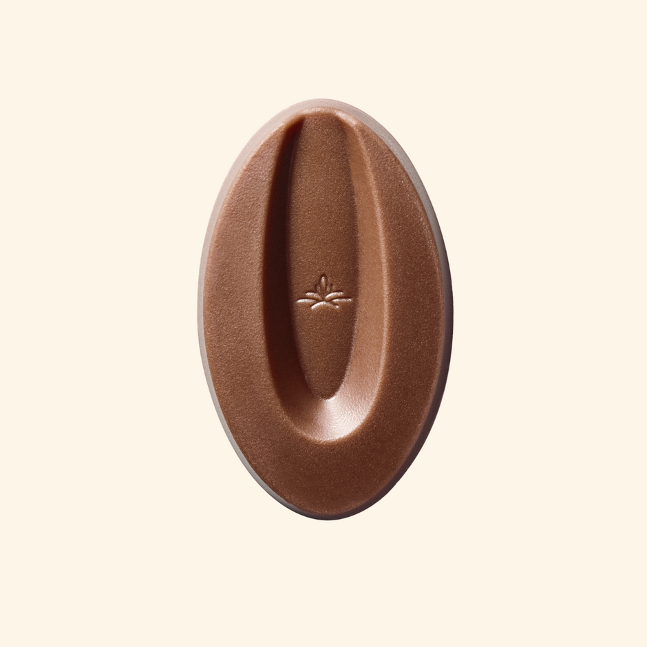 Chocolat pâtissier Valrhona - pour les particuliers – Valrhona Collection