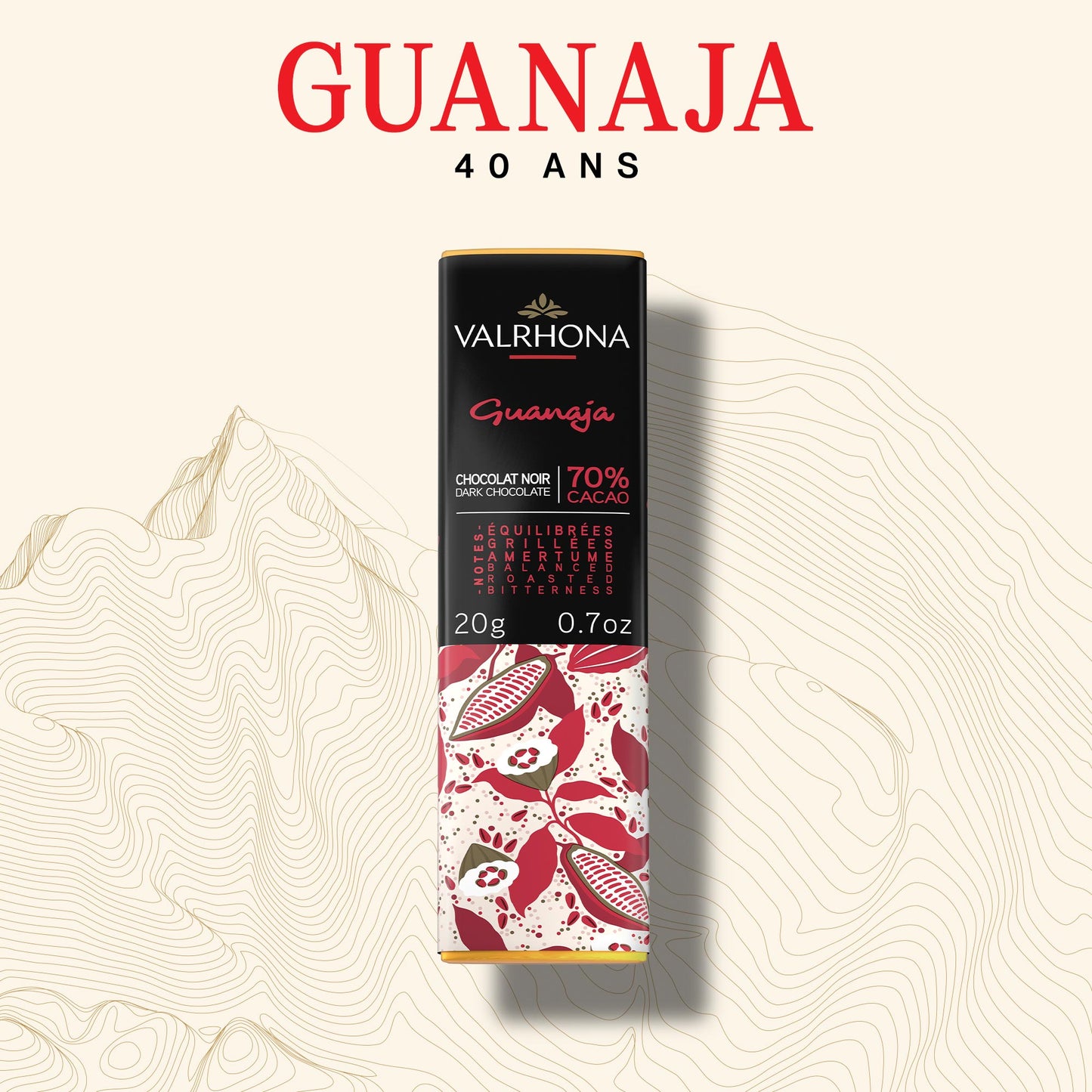 Mini-Tafel Guanaja 70% - 20g