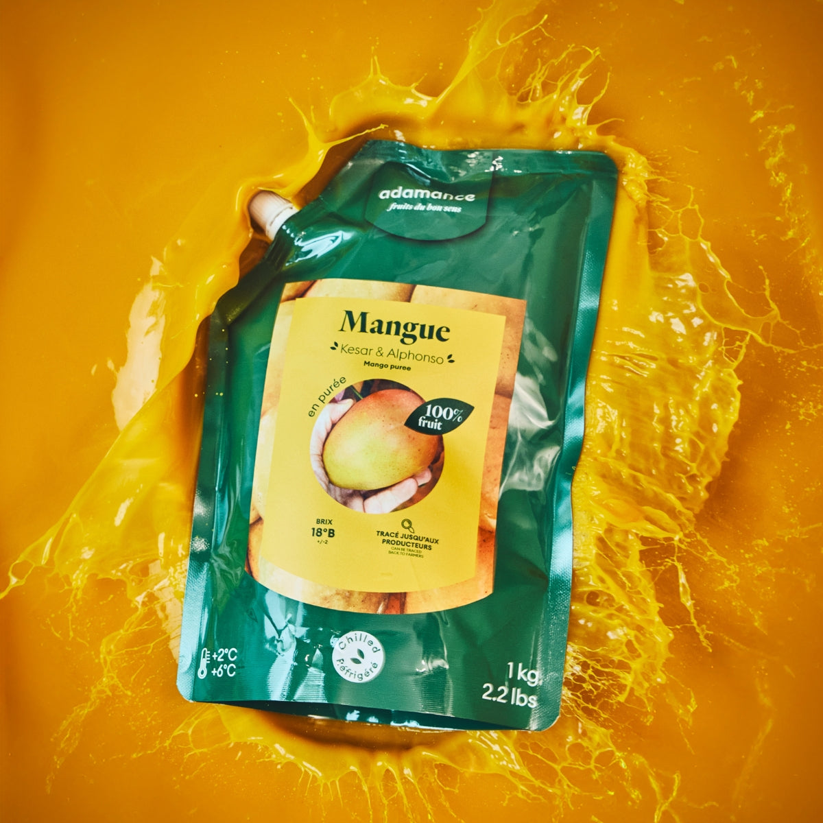 packshot d'un sachet de purée de mangue qui se trouve dans de la purée de mangue