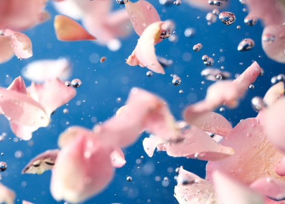 Pétales de roses qui flottent dans de l'eau
