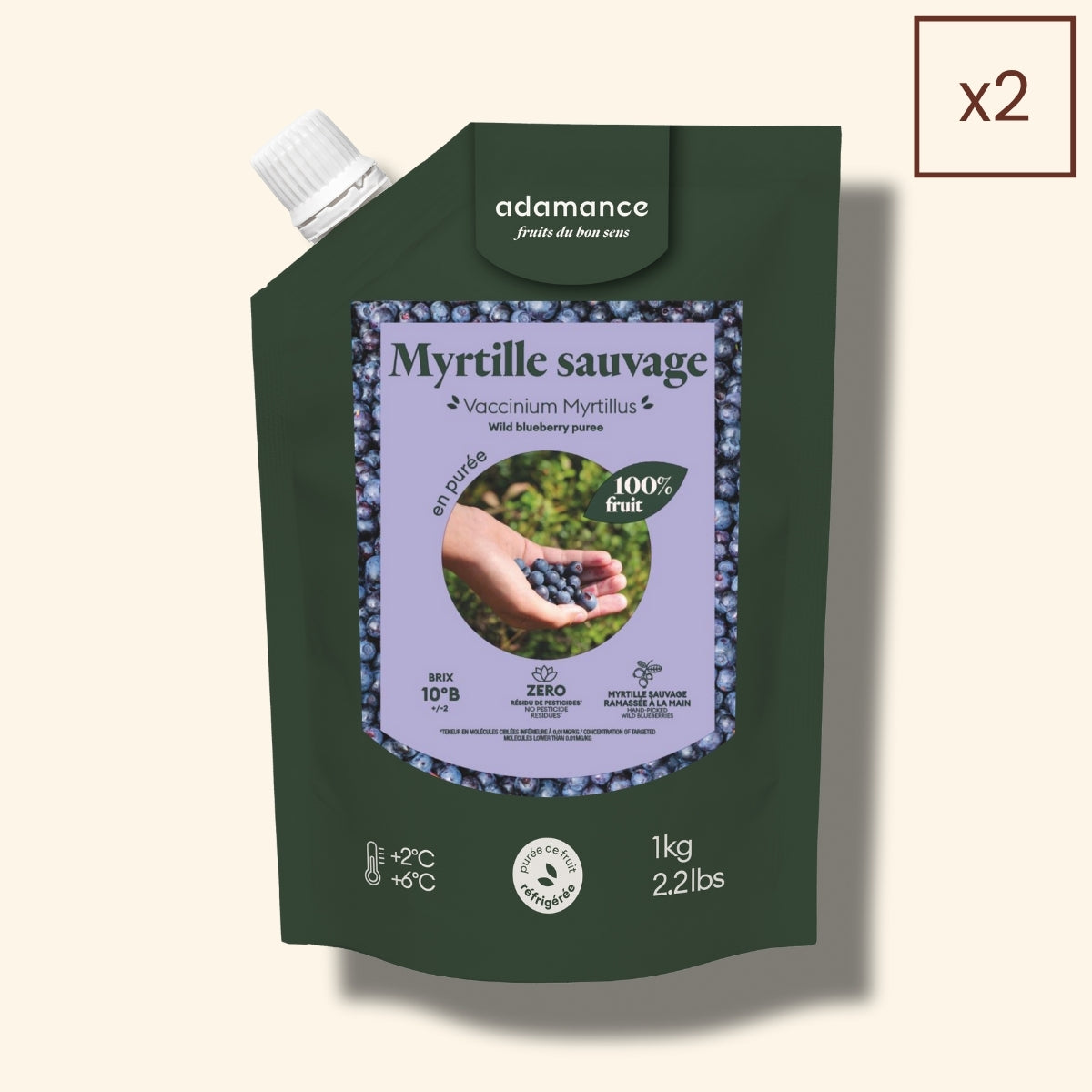 poche de purée de myrtille x2