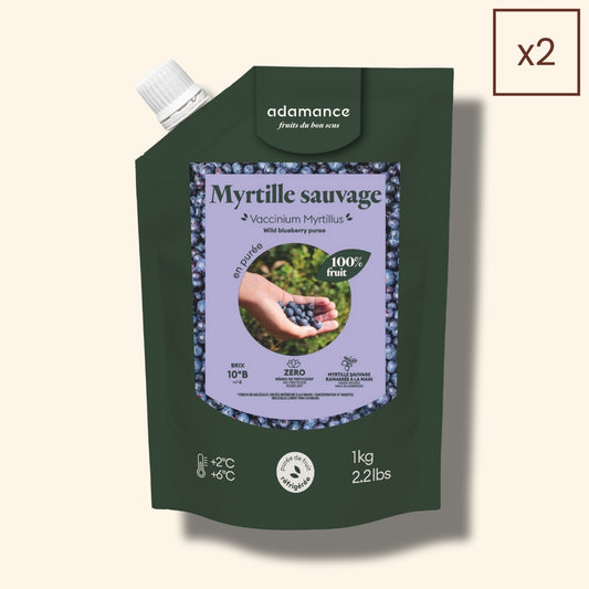 poche de purée de myrtille x2